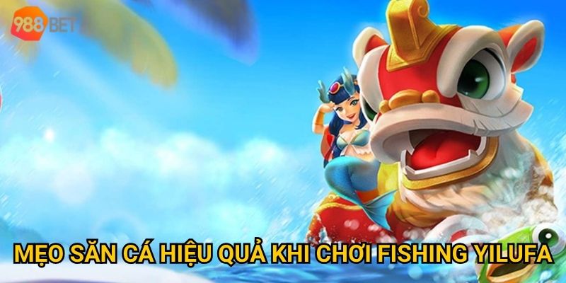 Mẹo săn cá hiệu quả khi chơi Fishing Yilufa