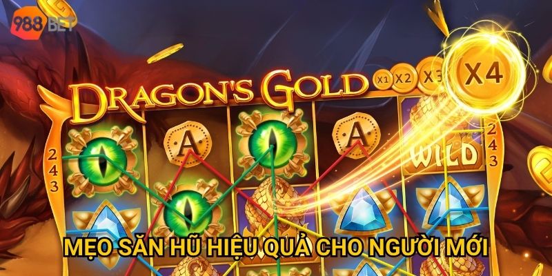 Mẹo săn hũ hiệu quả cho người mới