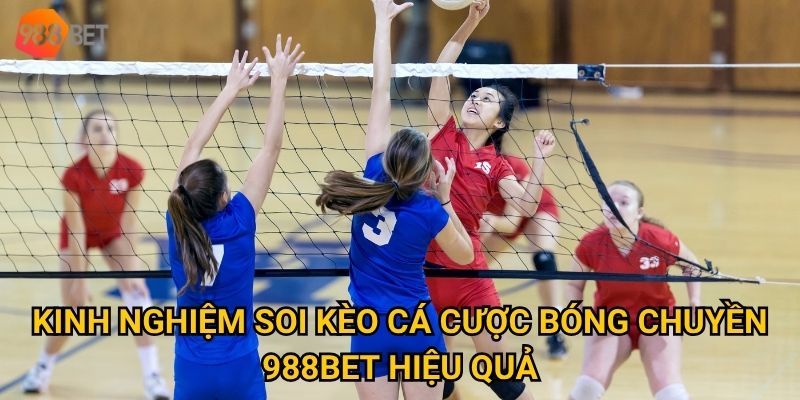Kinh nghiệm soi kèo cá cược bóng chuyền 988Bet hiệu quả