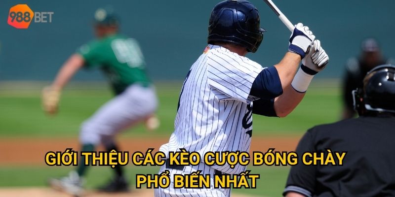 Giới thiệu các kèo cược bóng chày phổ biến nhất