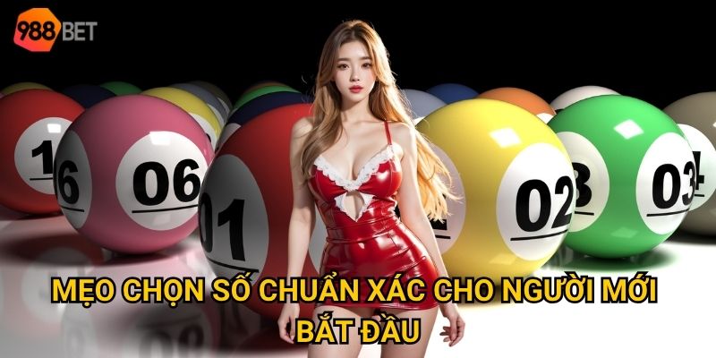 Mẹo chọn số chuẩn xác cho người mới bắt đầu
