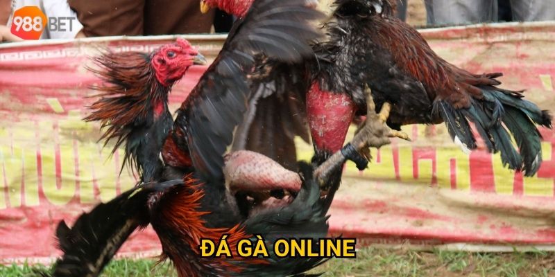 Làm sao để thắng lớn khi chơi đá gà online tại 988Bet?