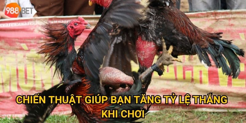Chiến thuật giúp bạn tăng tỷ lệ thắng khi chơi